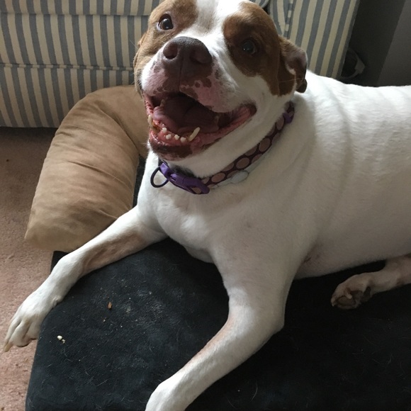 Meet your Posher, Jennifer - Picture 4 of 9